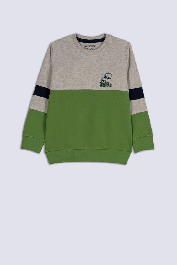 Skate Board Boy's Sweatshirt