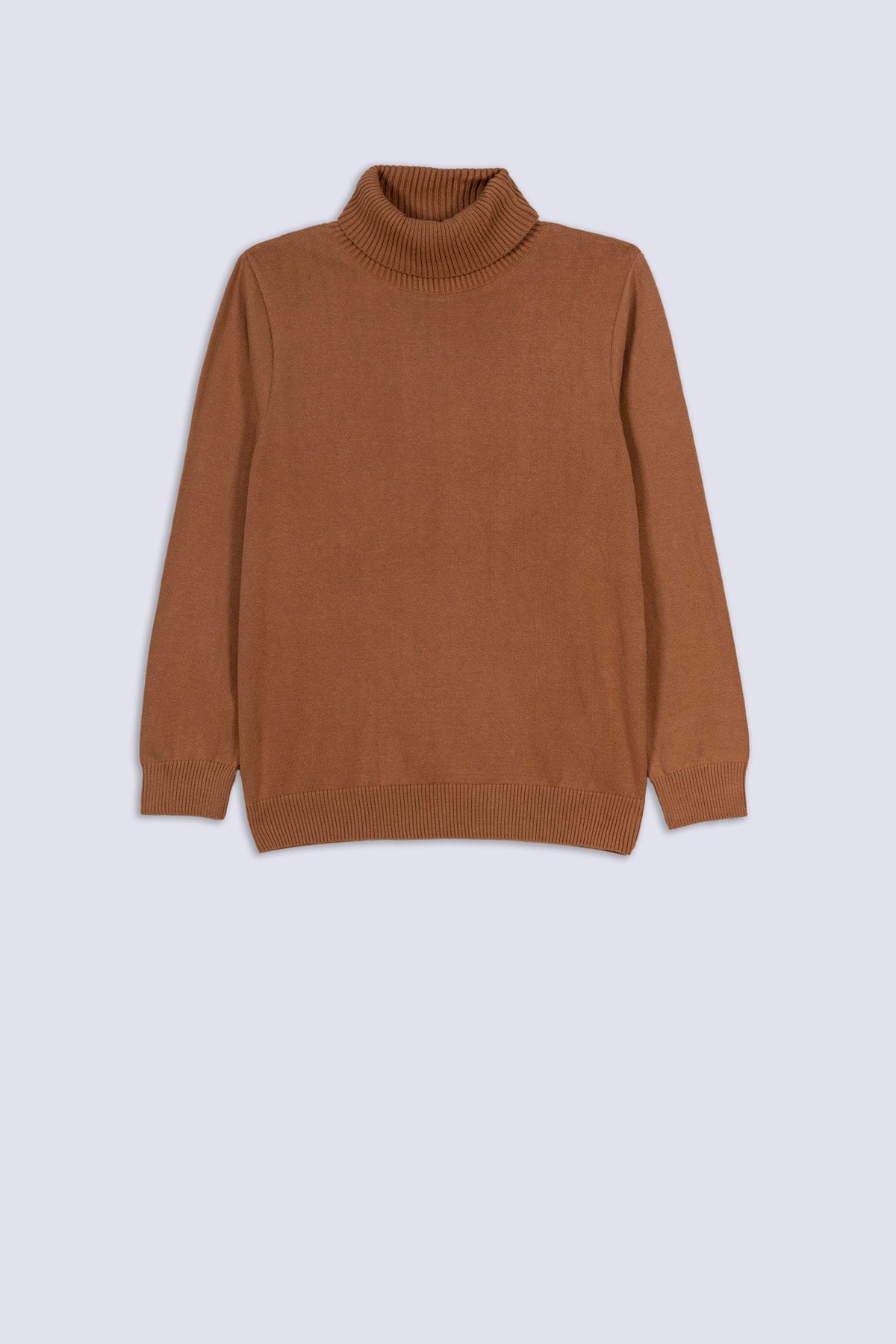 Beige Luxe Knit Turtleneck