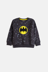 Boy's Sweatshirt F/Slv.