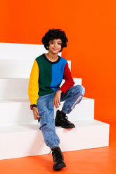 Boy's Sweater F/Slv.