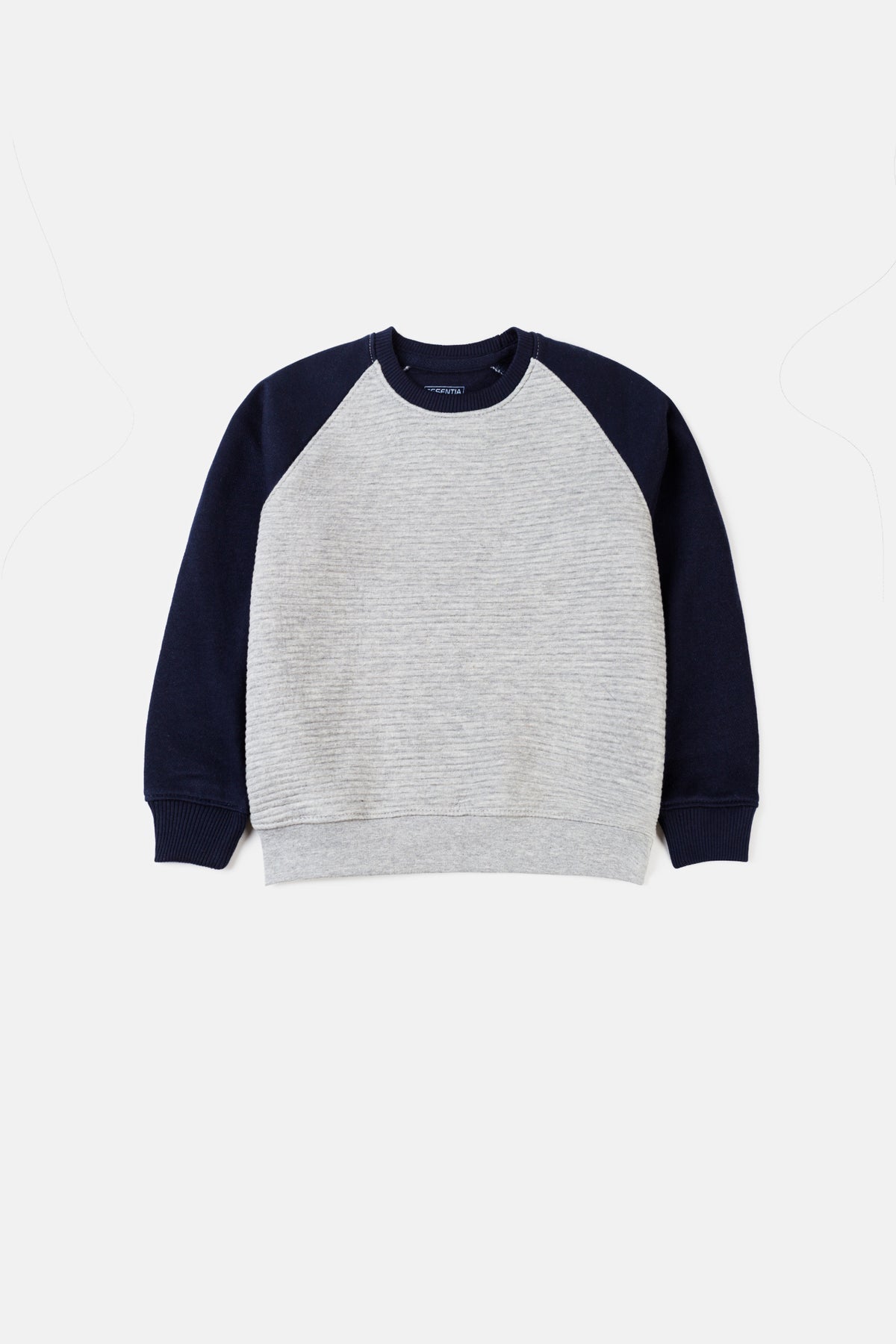 Boy's Sweatshirt F/Slv.