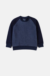 Boy's Sweatshirt F/Slv.