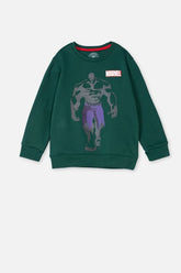 Boy's Sweatshirt F/Slv.