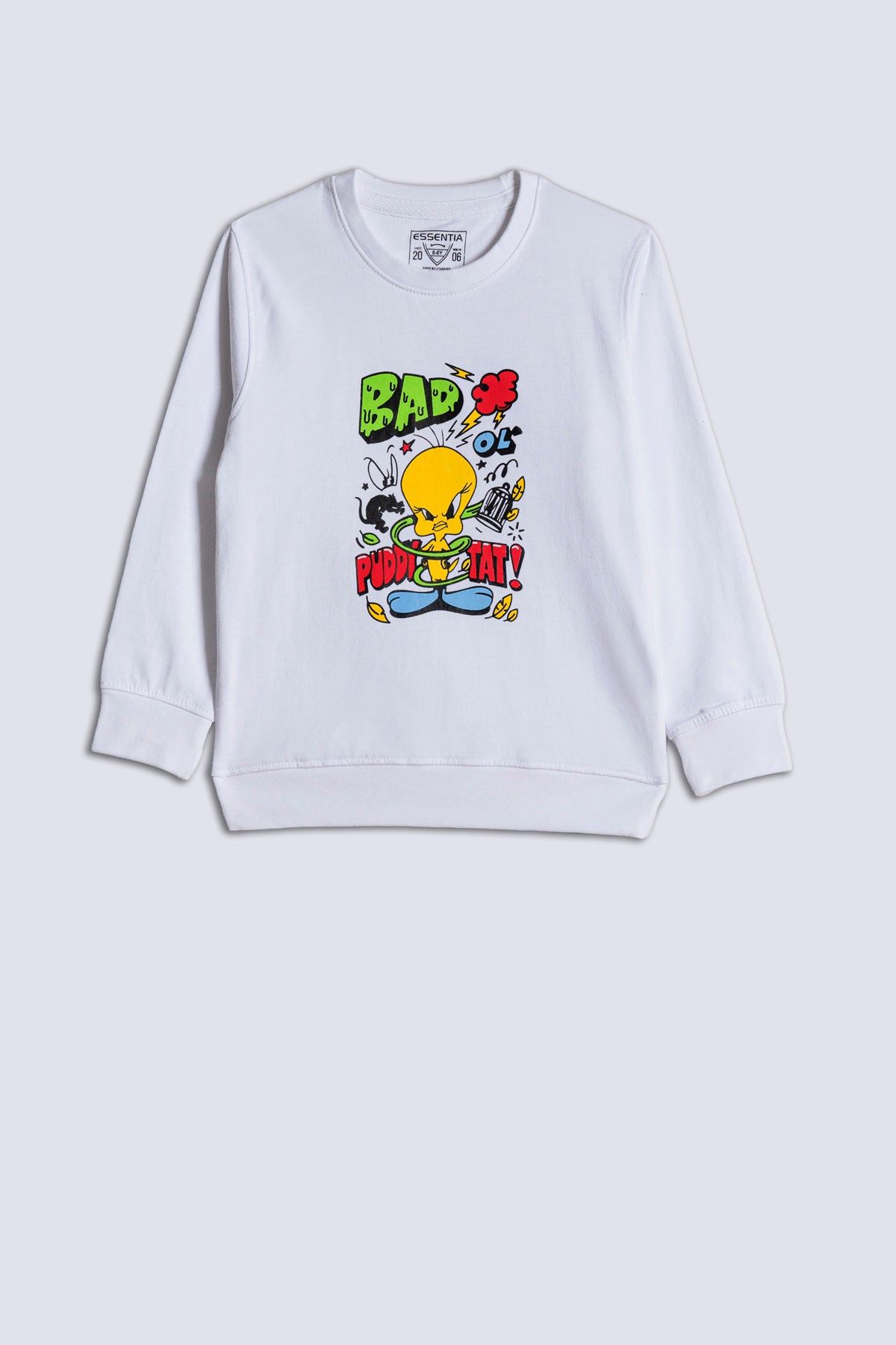 Looney Tunes Boy's Sweatshirt.