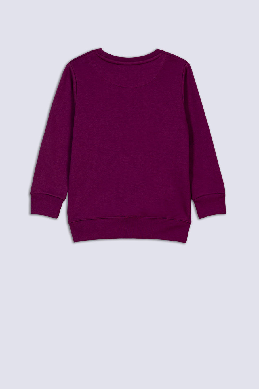Purple Butterfly Girl's SweatShirt