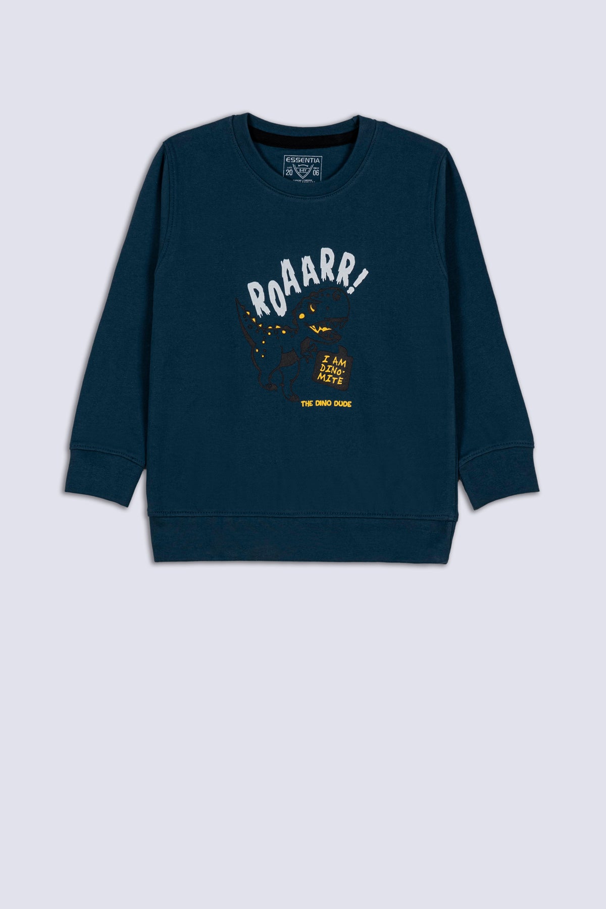 Teal Roaarr Boy's Sweatshirt