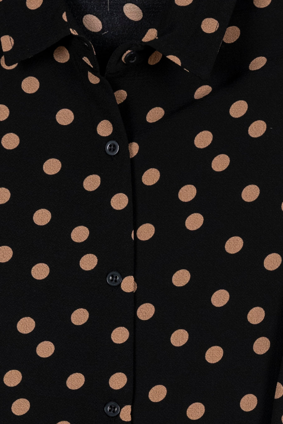 Polka Dots Ladies Co-Ord Set