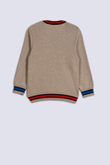 Relph Lauren Boy's Sweater.