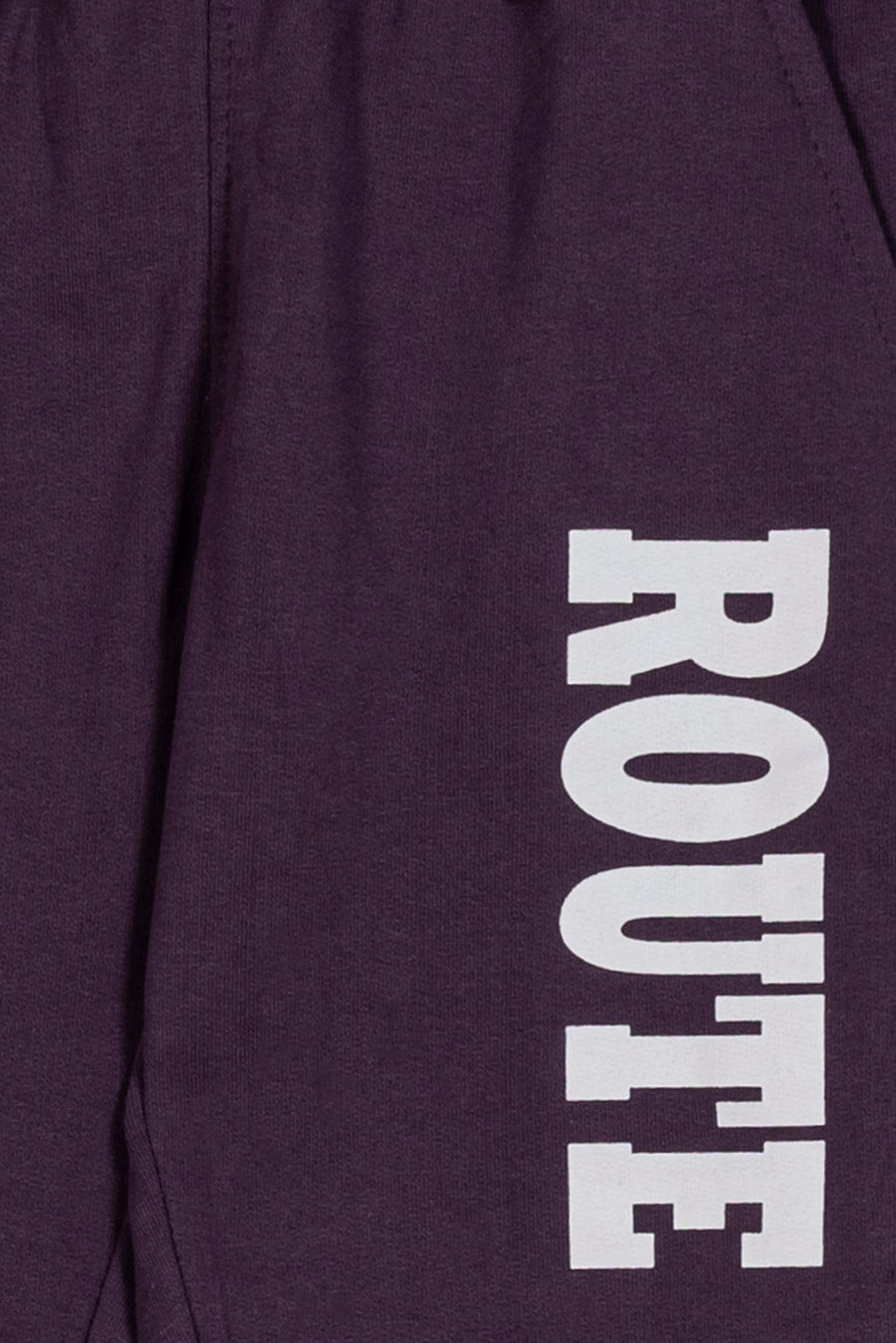 Plum Route Boy's Trouser
