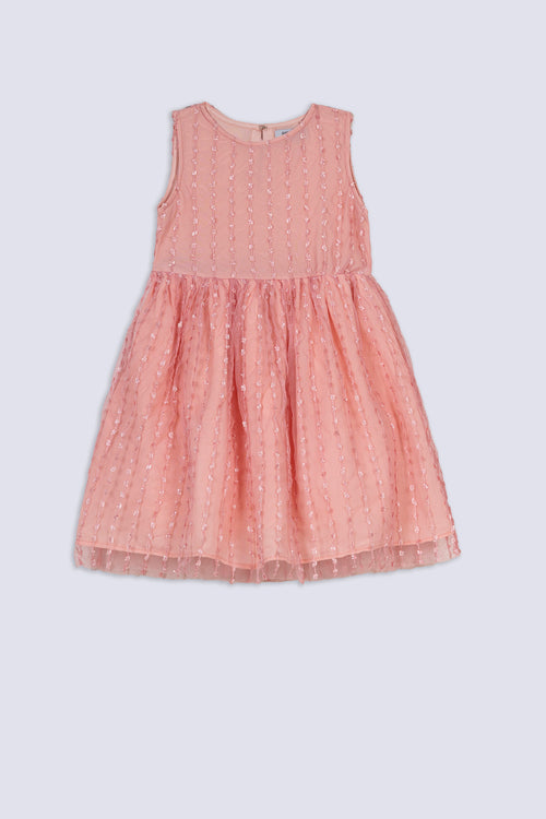 Pink Whisper Embroidered Dress