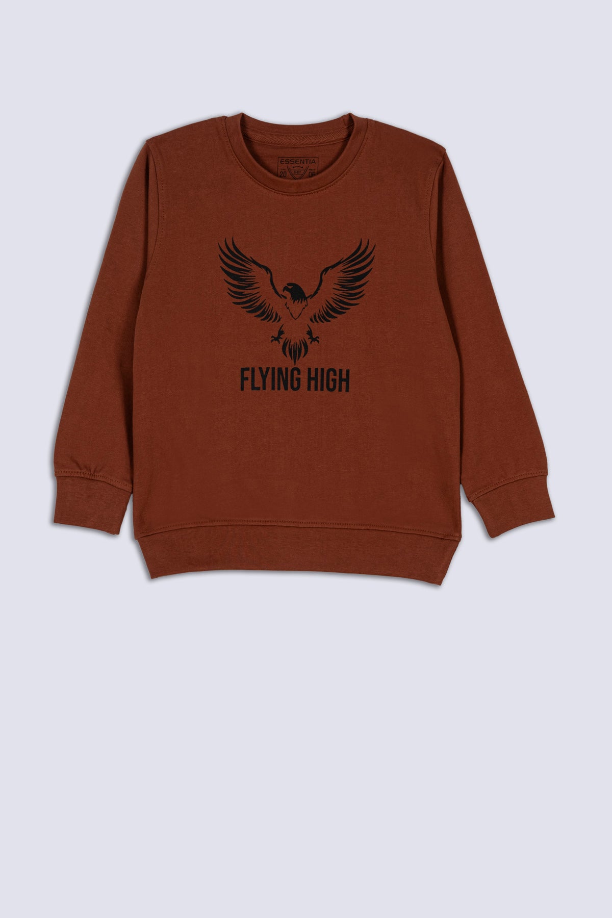 Flying High Boy's Sweatshirt