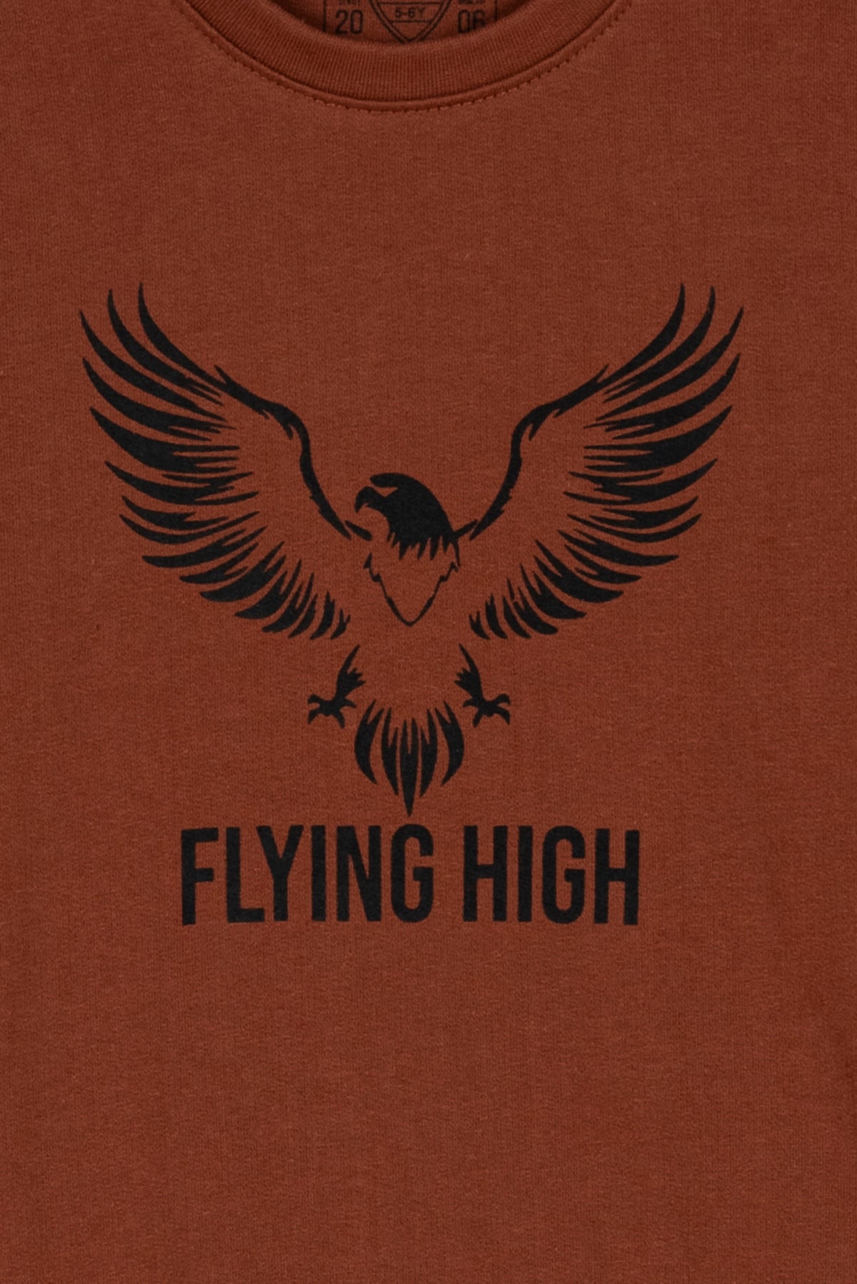 Flying High Boy's Sweatshirt