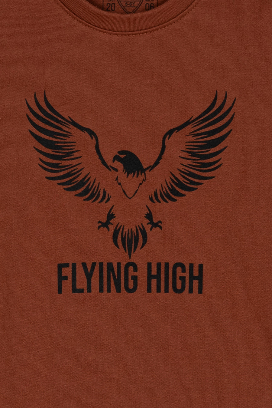 Flying High Boy's Sweatshirt