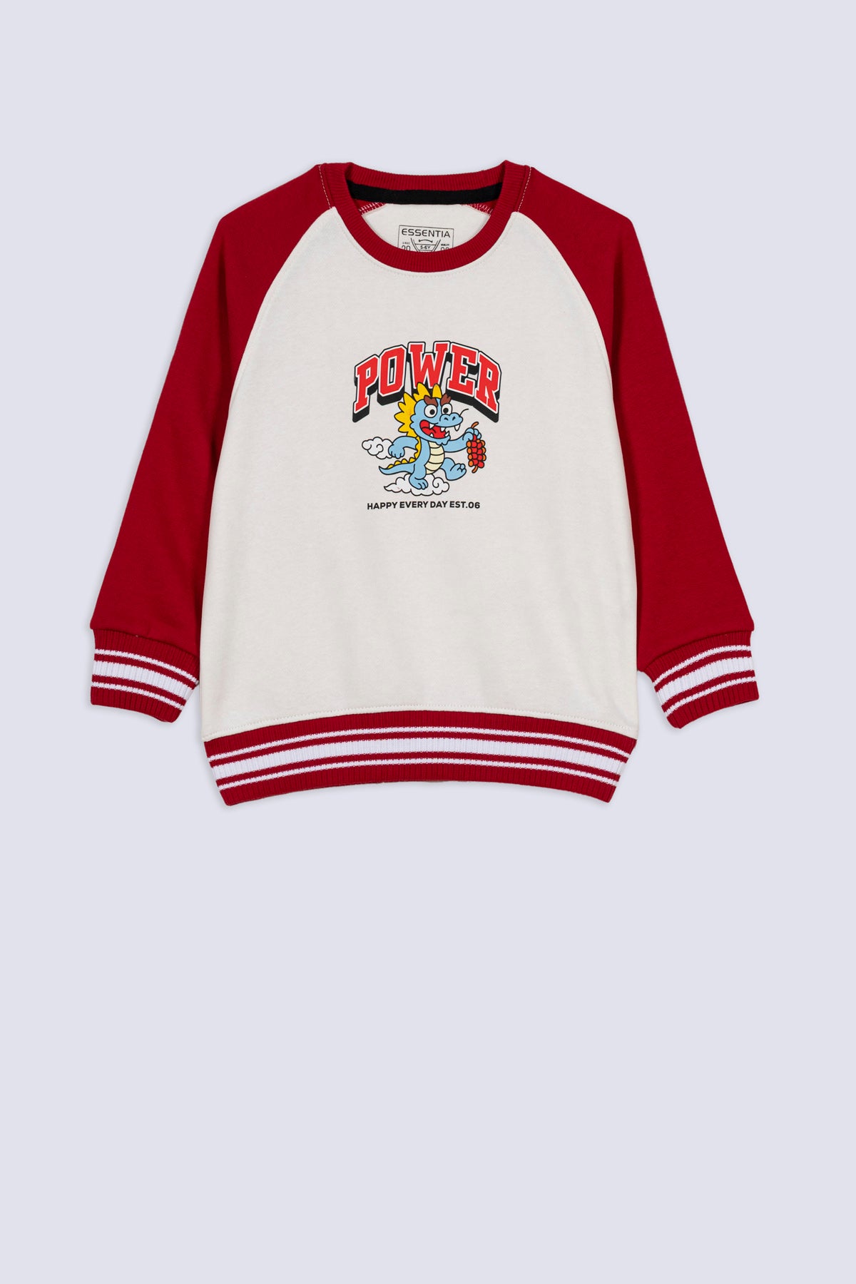 Raglan Style Dragon Boys' Sweatshirt
