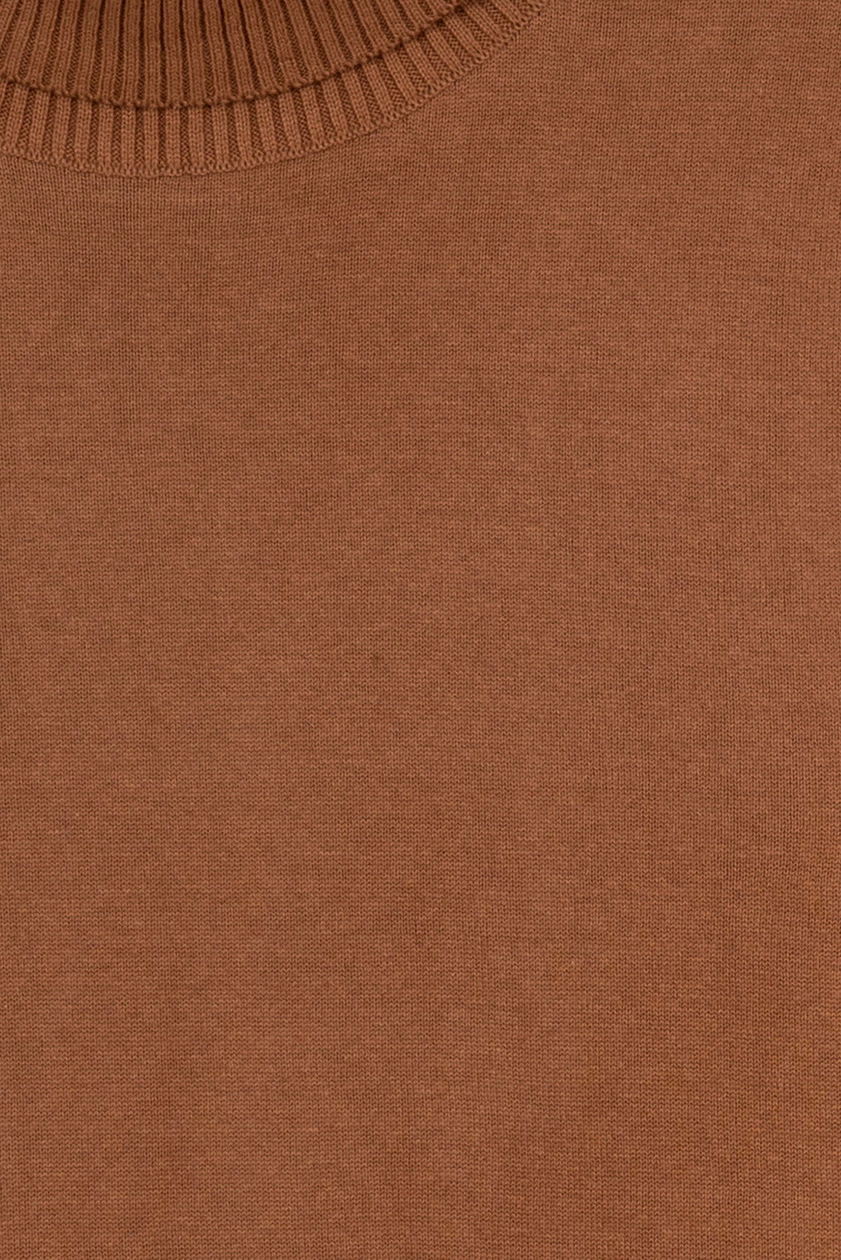 Beige Luxe Knit Turtleneck