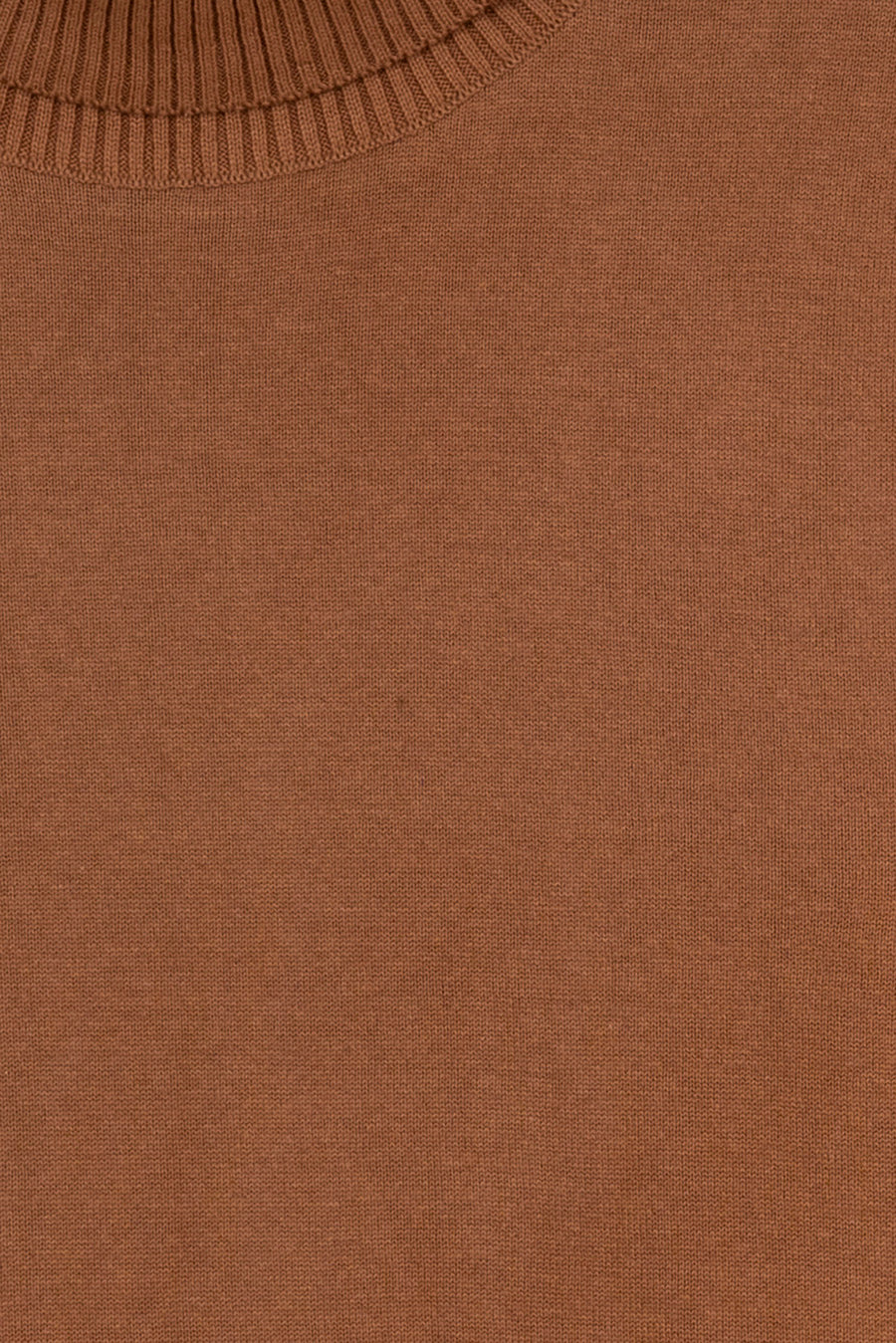 Beige Luxe Knit Turtleneck