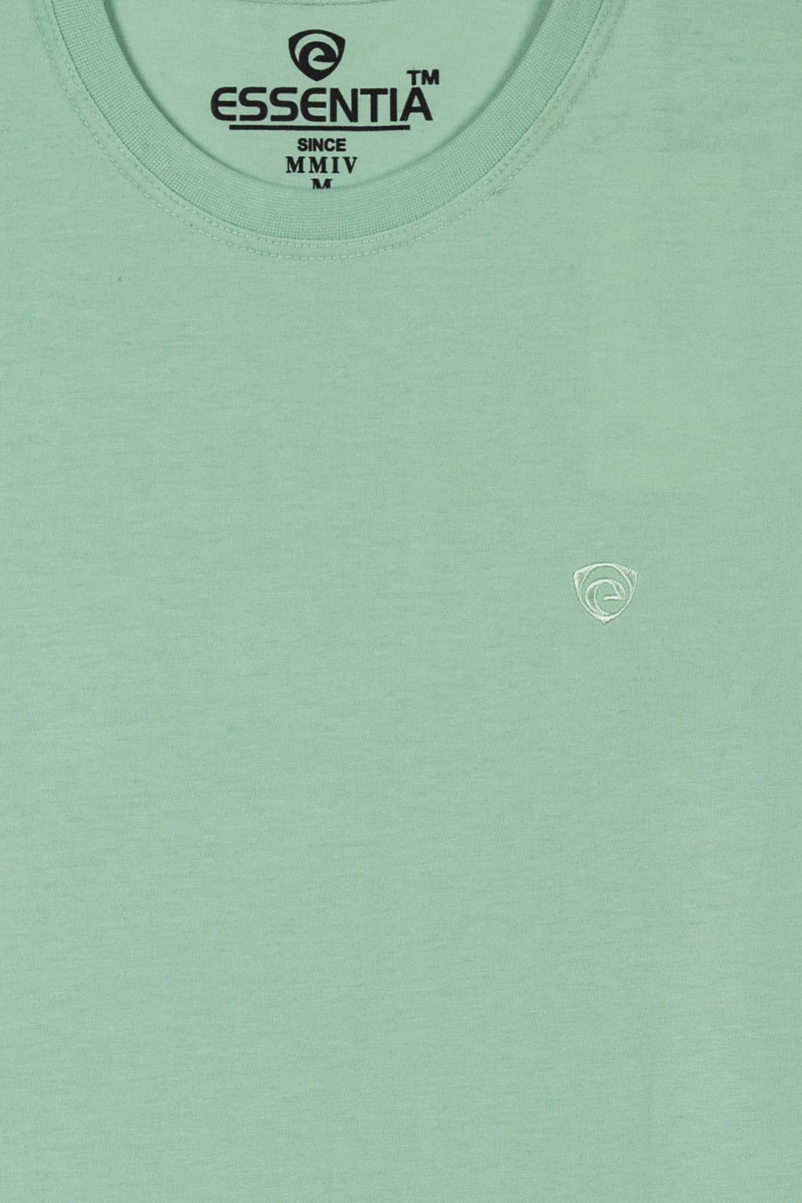 Sea Green Men's Plain T-Shirt