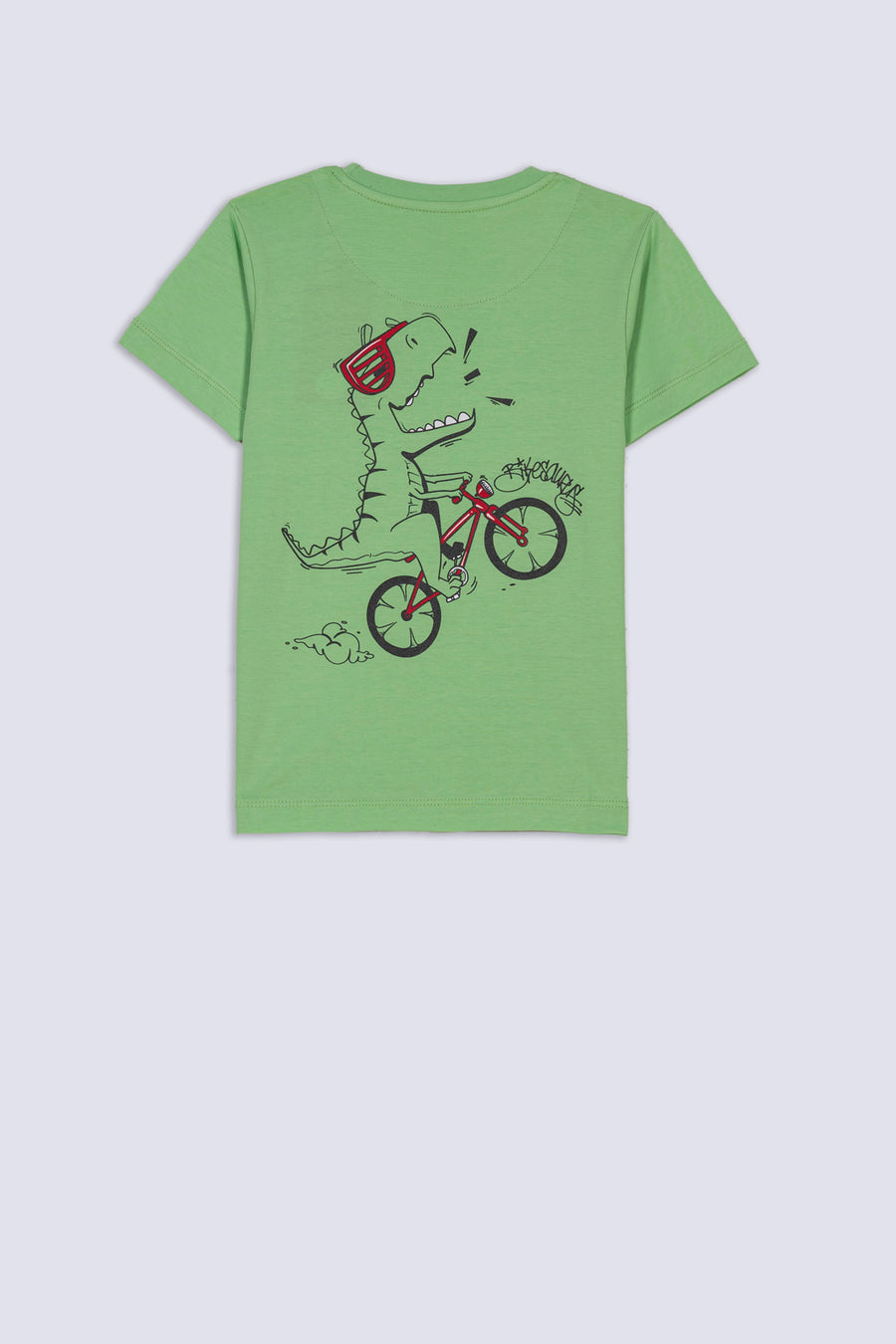 Roar Print Boy's T-Shirt
