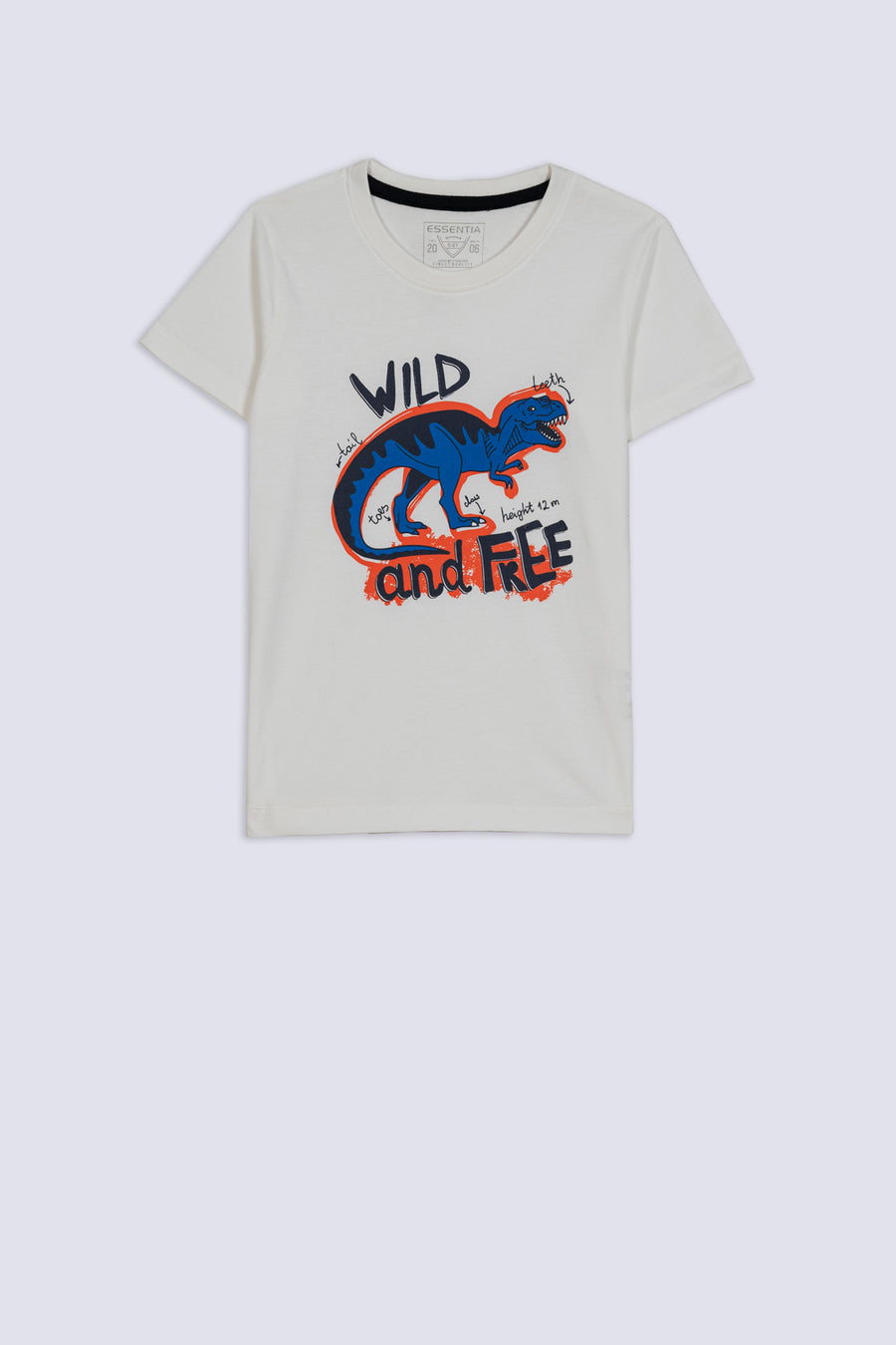 Jurassic Jam Boy's Tee