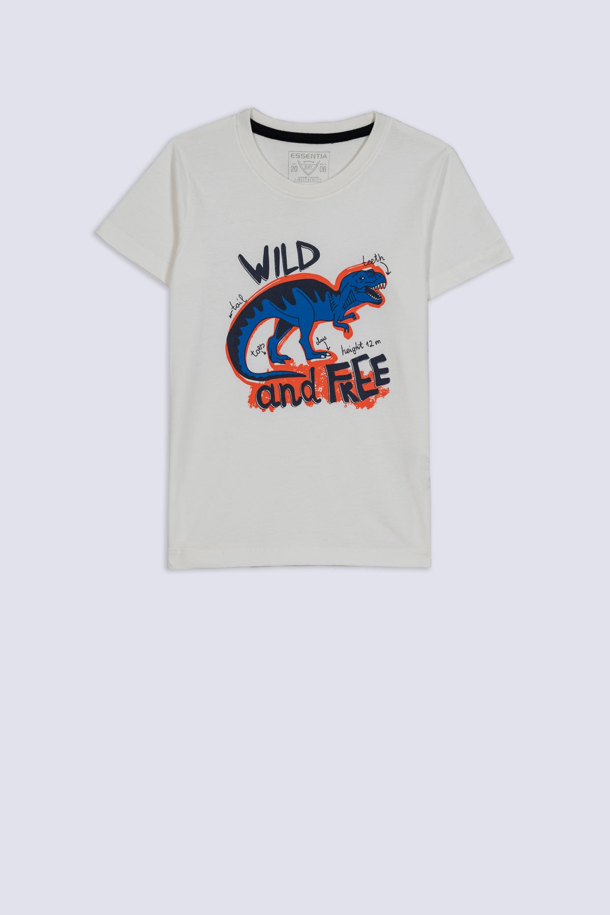 Jurassic Jam Boy's Tee