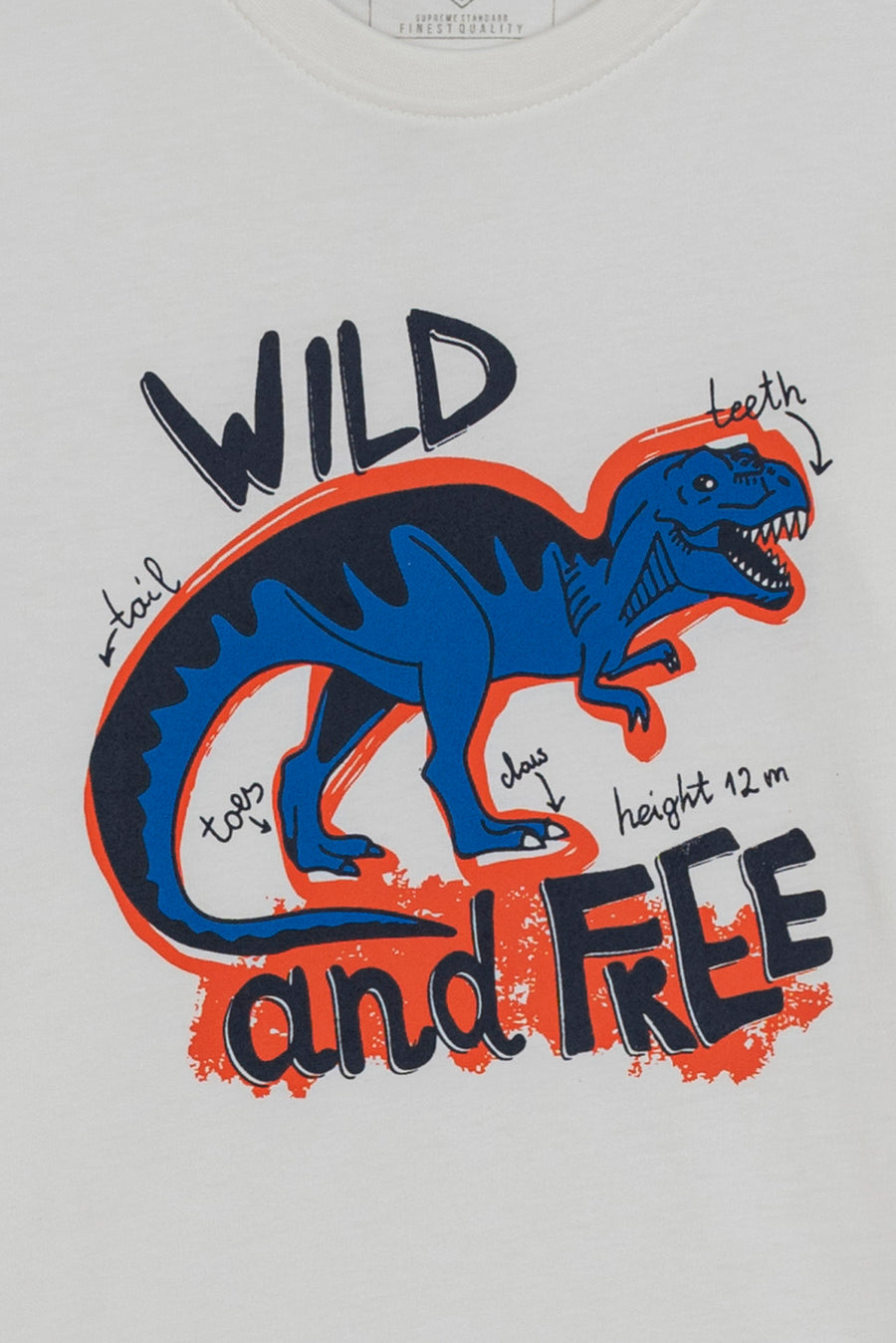 Jurassic Jam Boy's Tee