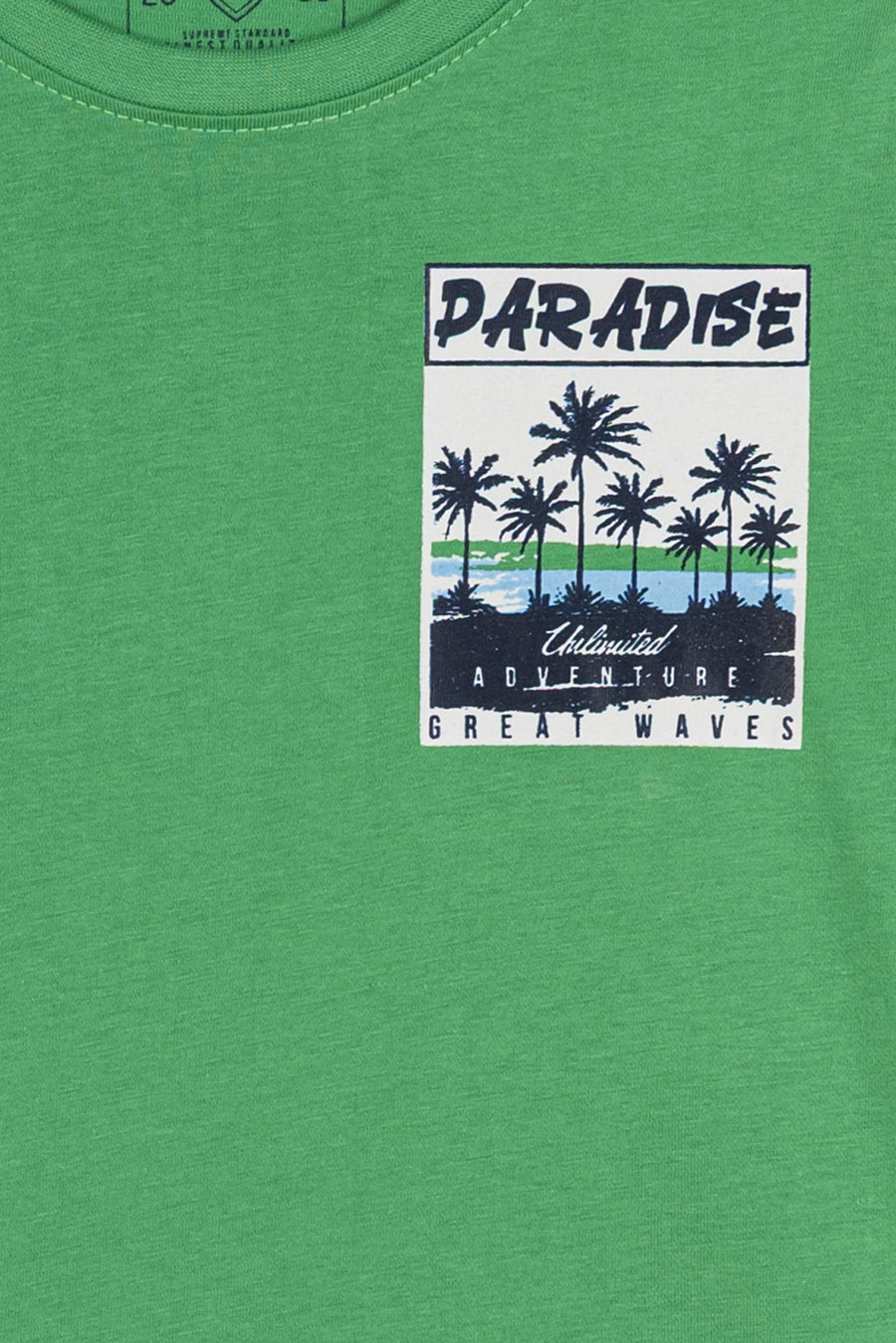 Boys' Paradise Palm Graphic Tee
