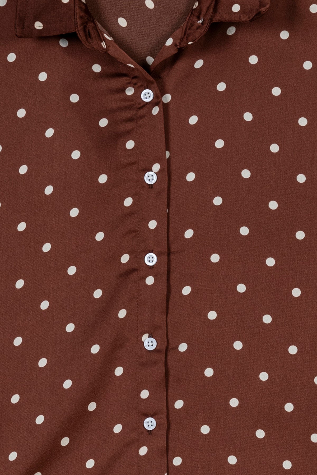 Chic Dotty Collared Top
