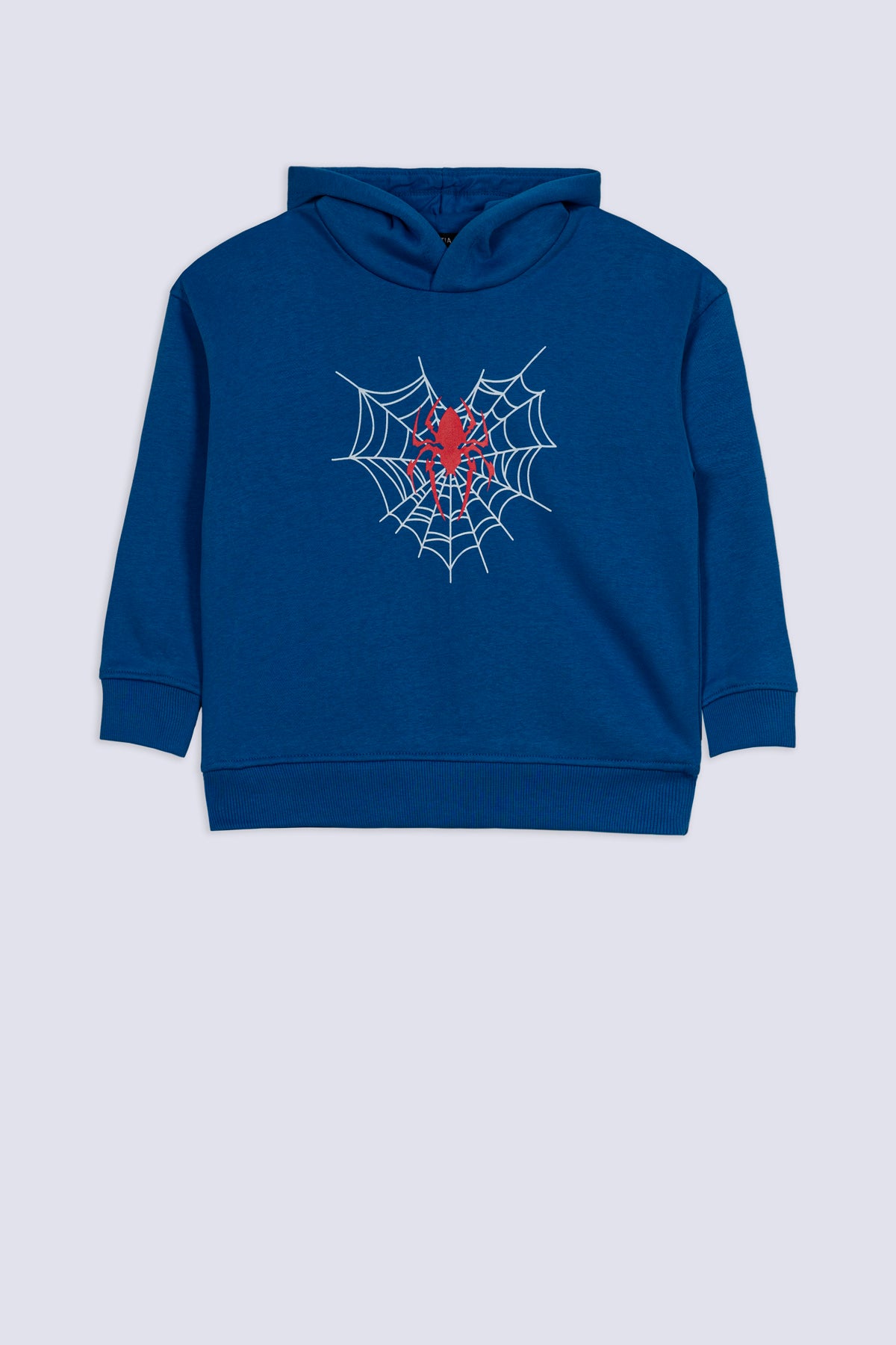 Spider Web Boys' Hero Hoodie
