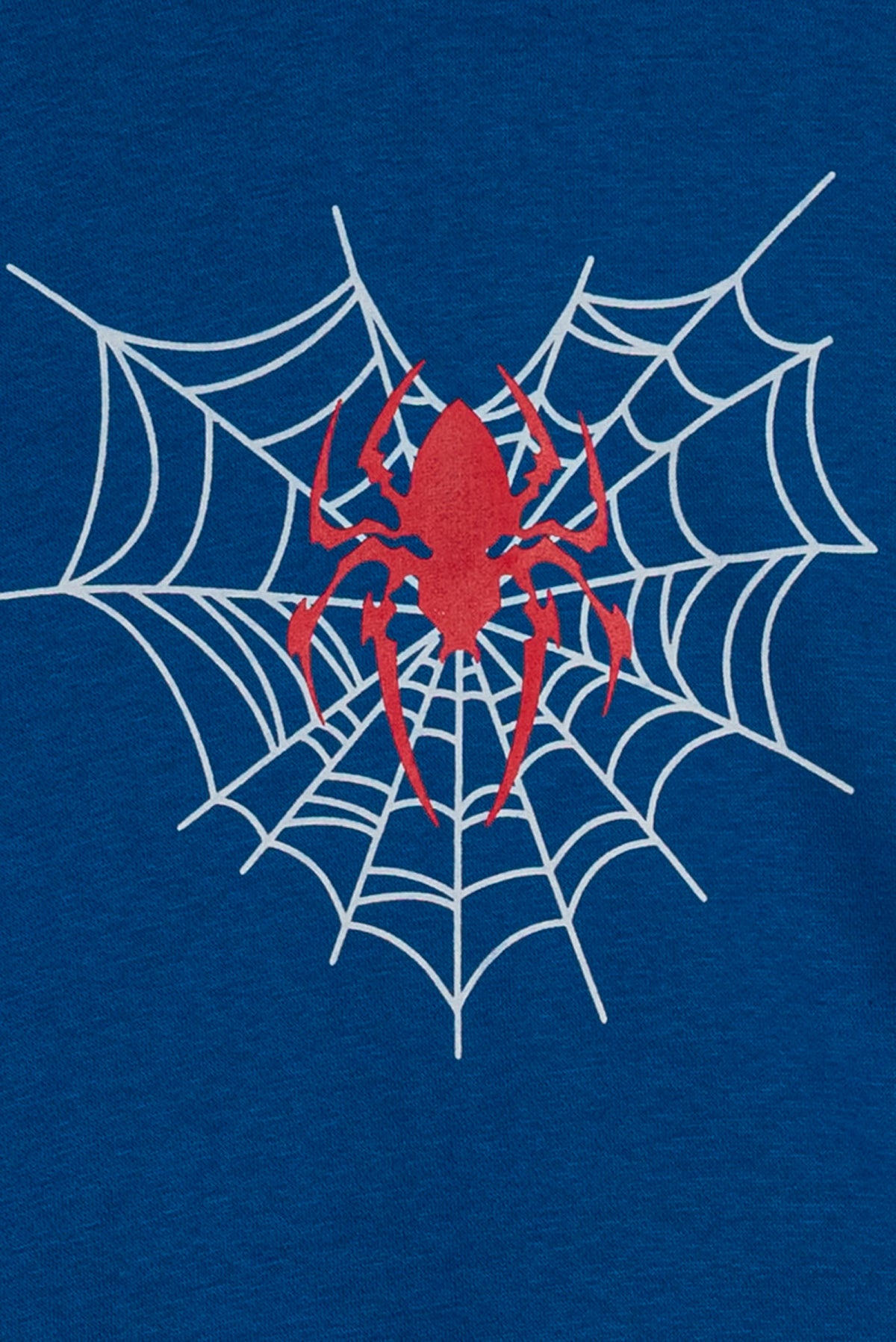 Spider Web Boys' Hero Hoodie