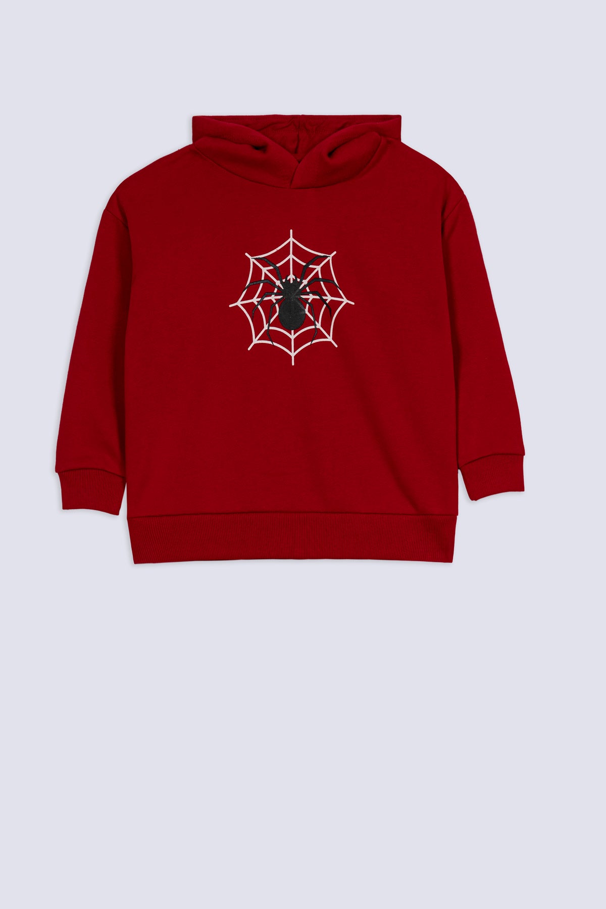 Spider Web Boys' Hero Hoodie