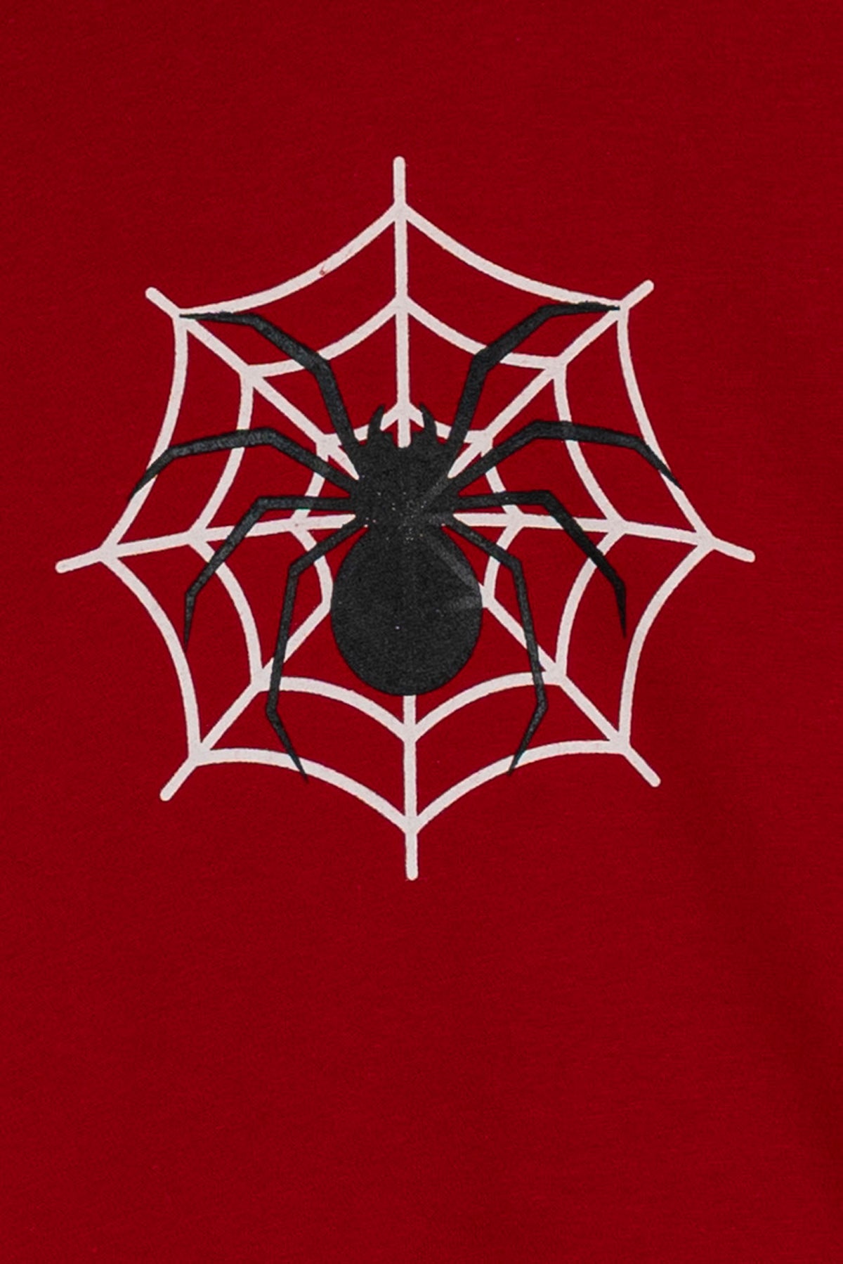 Spider Web Boys' Hero Hoodie