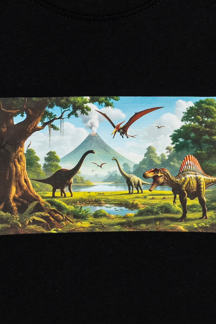 Boy's Prehistoric Scene T-Shirt