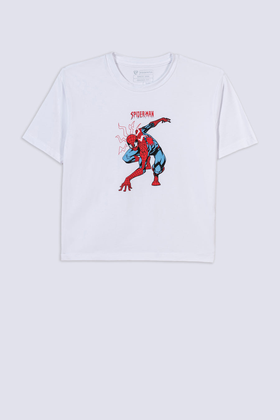 Boy's Spidey Drop Baggy T-Shirt