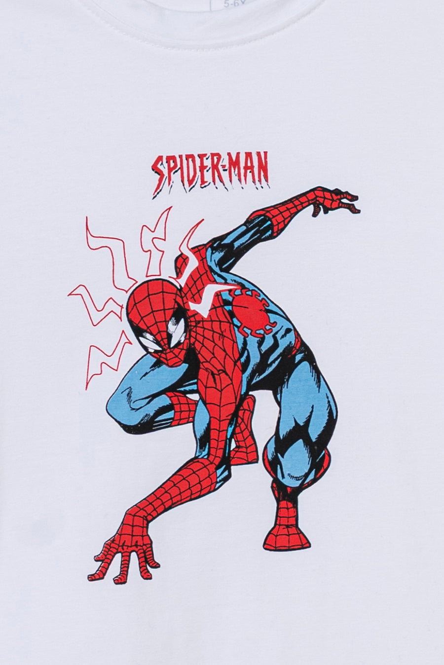 Boy's Spidey Drop Baggy T-Shirt