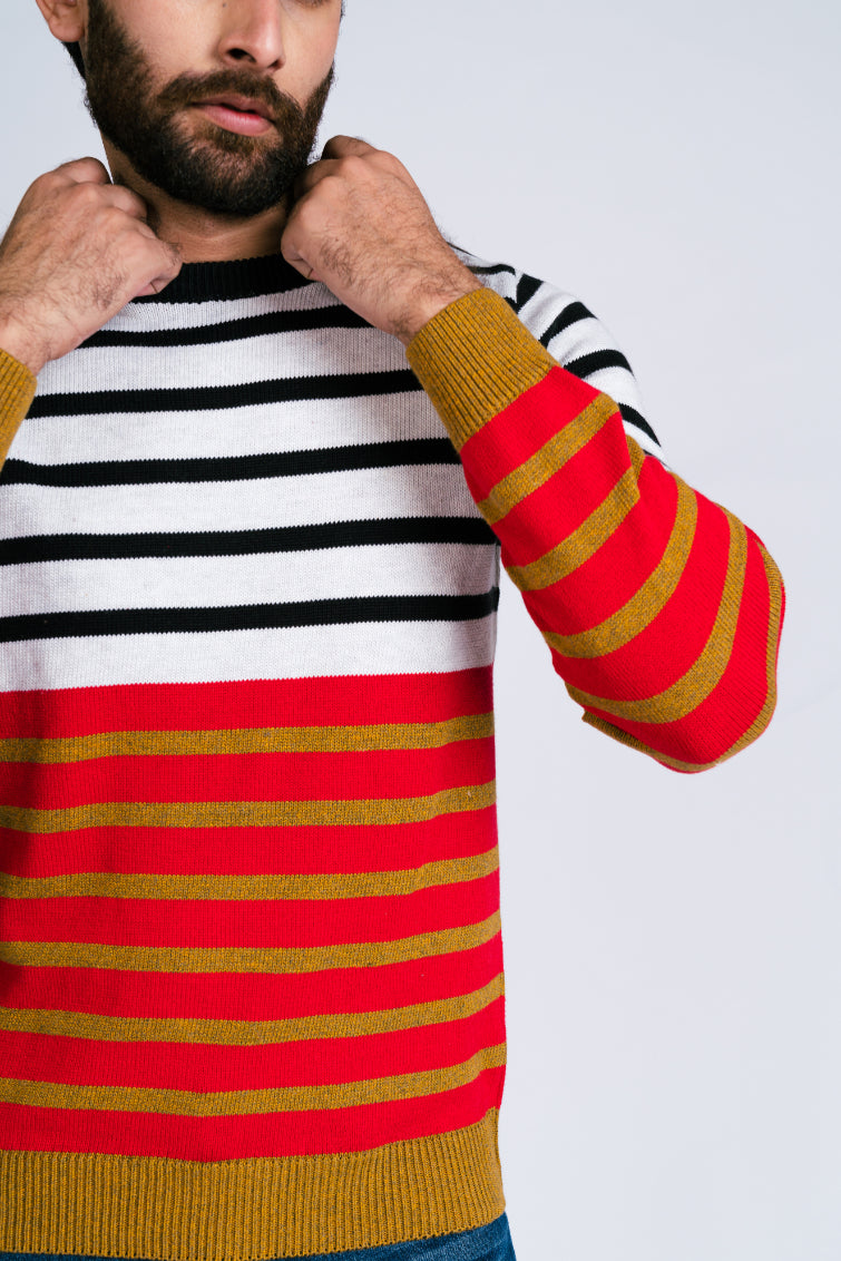 Men's Sweater F/Slv.