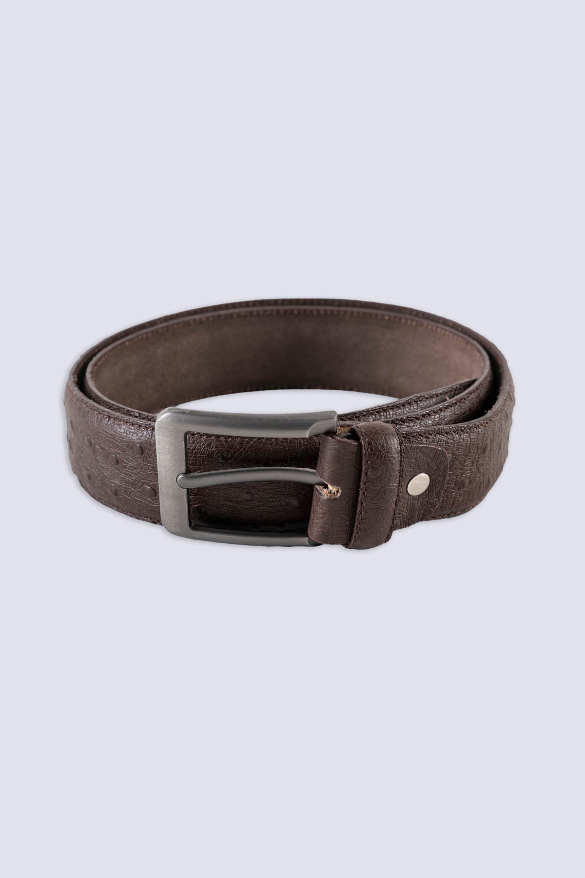 Basic Leather Belt