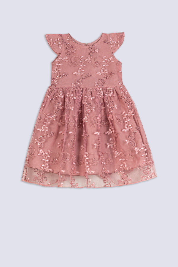 Girl's Blush Floral Embroidered Dress