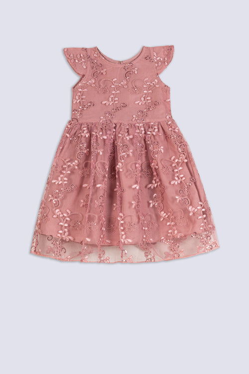 Girl's Blush Floral Embroidered Dress