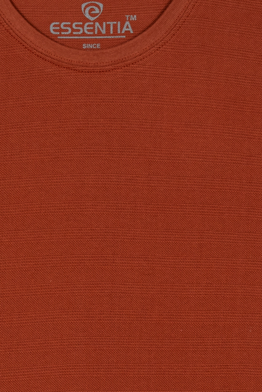 Rust Men's Textured T-Shirt