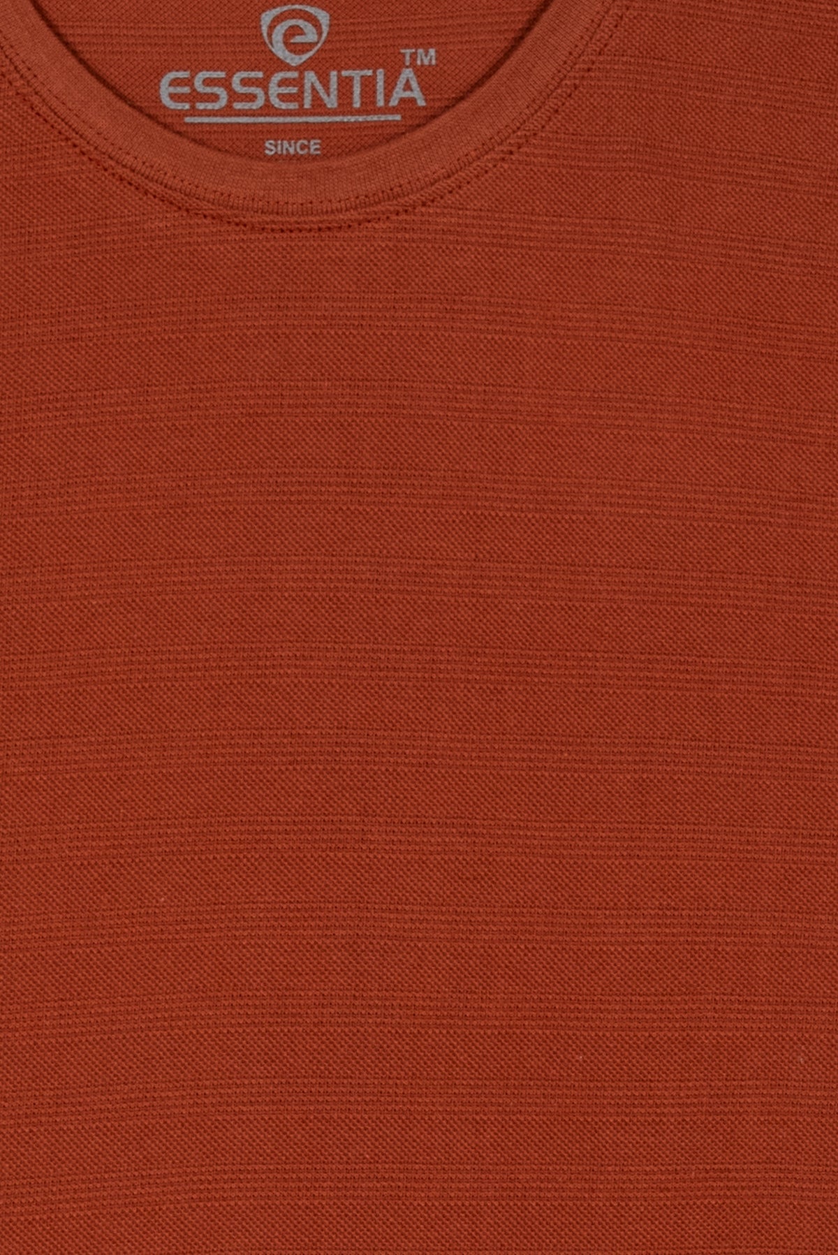 Rust Men's Textured T-Shirt