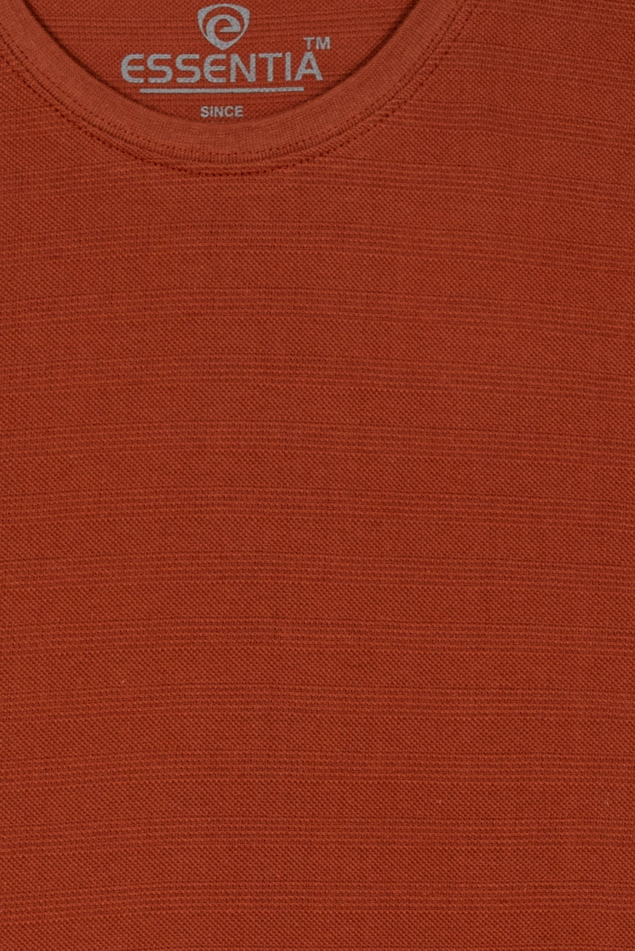 Rust Men's Textured T-Shirt