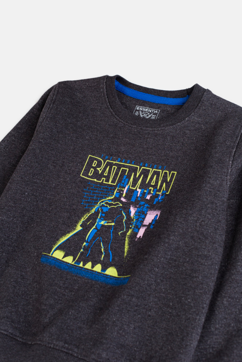 Boy's Sweatshirt F/Slv.