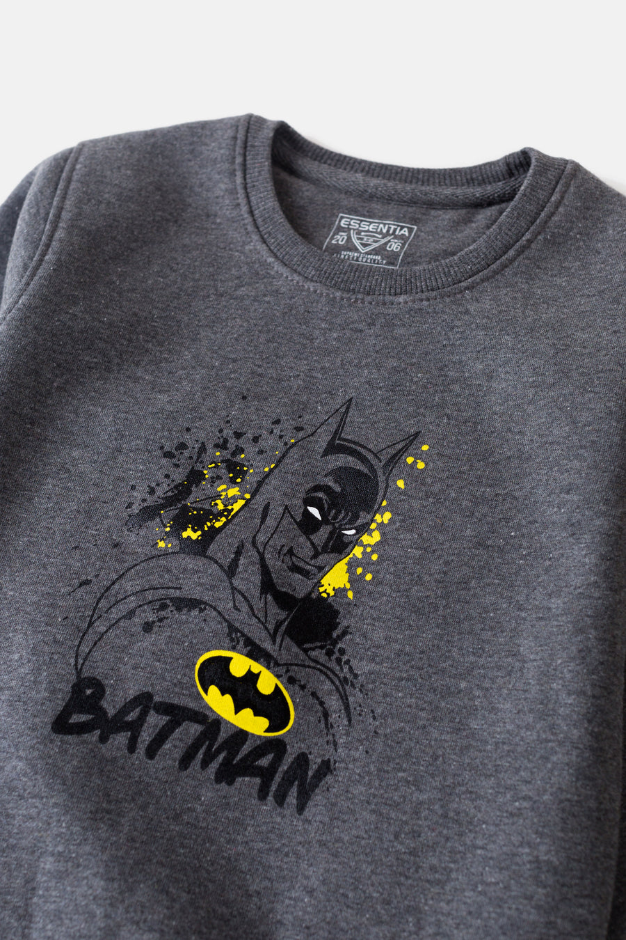 Boy's Sweatshirt F/Slv.