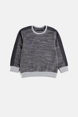 Boy's Sweatshirt F/Slv.