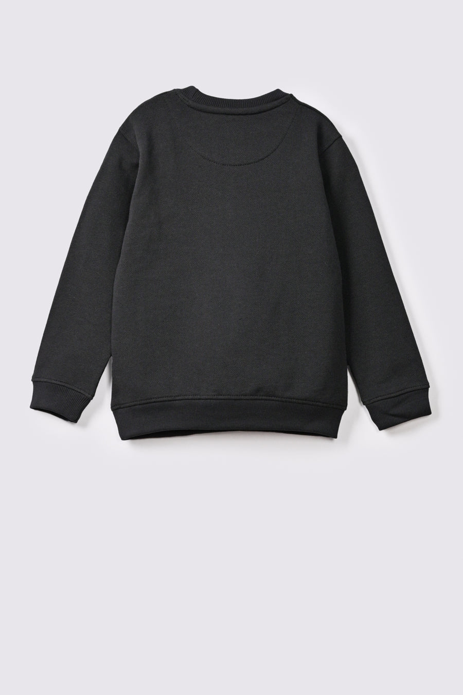 Boy's Sweatshirt F/Slv.