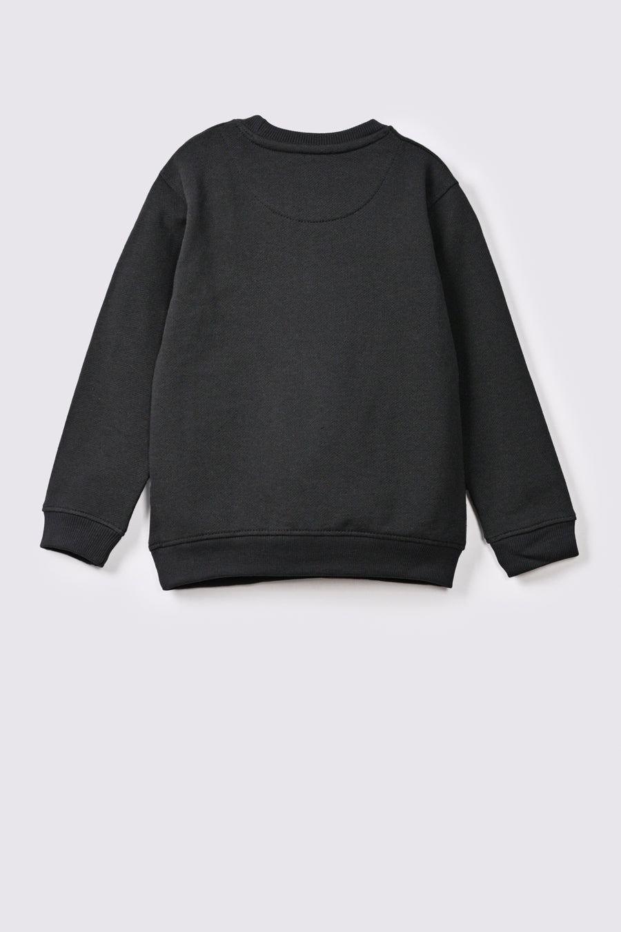 Boy's Sweatshirt F/Slv.