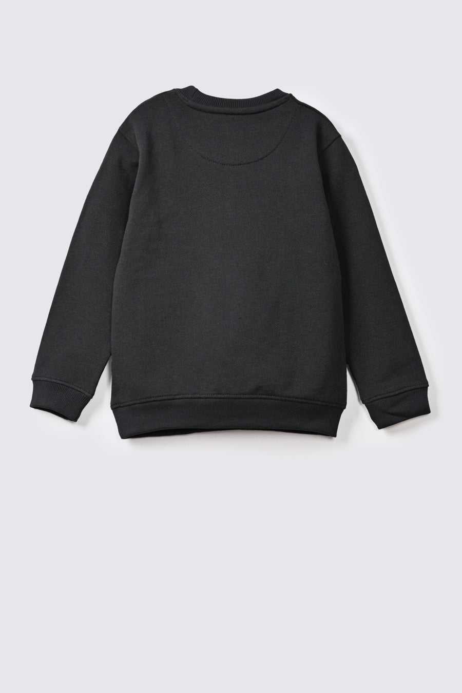 Boy's Sweatshirt F/Slv.
