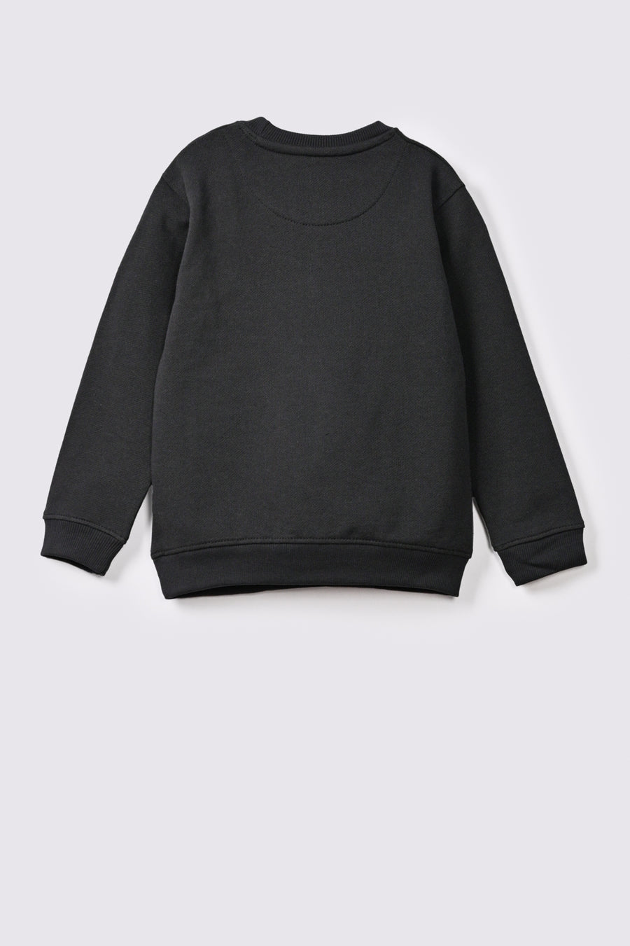Boy's Sweatshirt F/Slv.