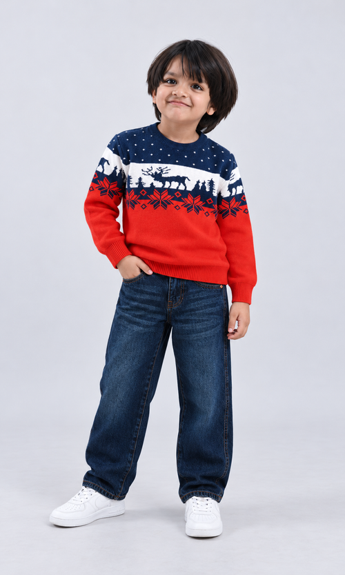 Jumper Round Neck Boy's Sweater.