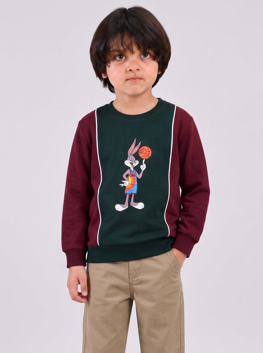 Looney Tune Squad Boy's Sweatshirt